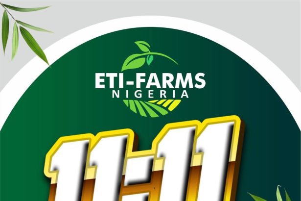 AKWA IBOM PRIVATE-OWNED MECHANIZED FARM READY FOR HARVEST ON NOVEMBER 11