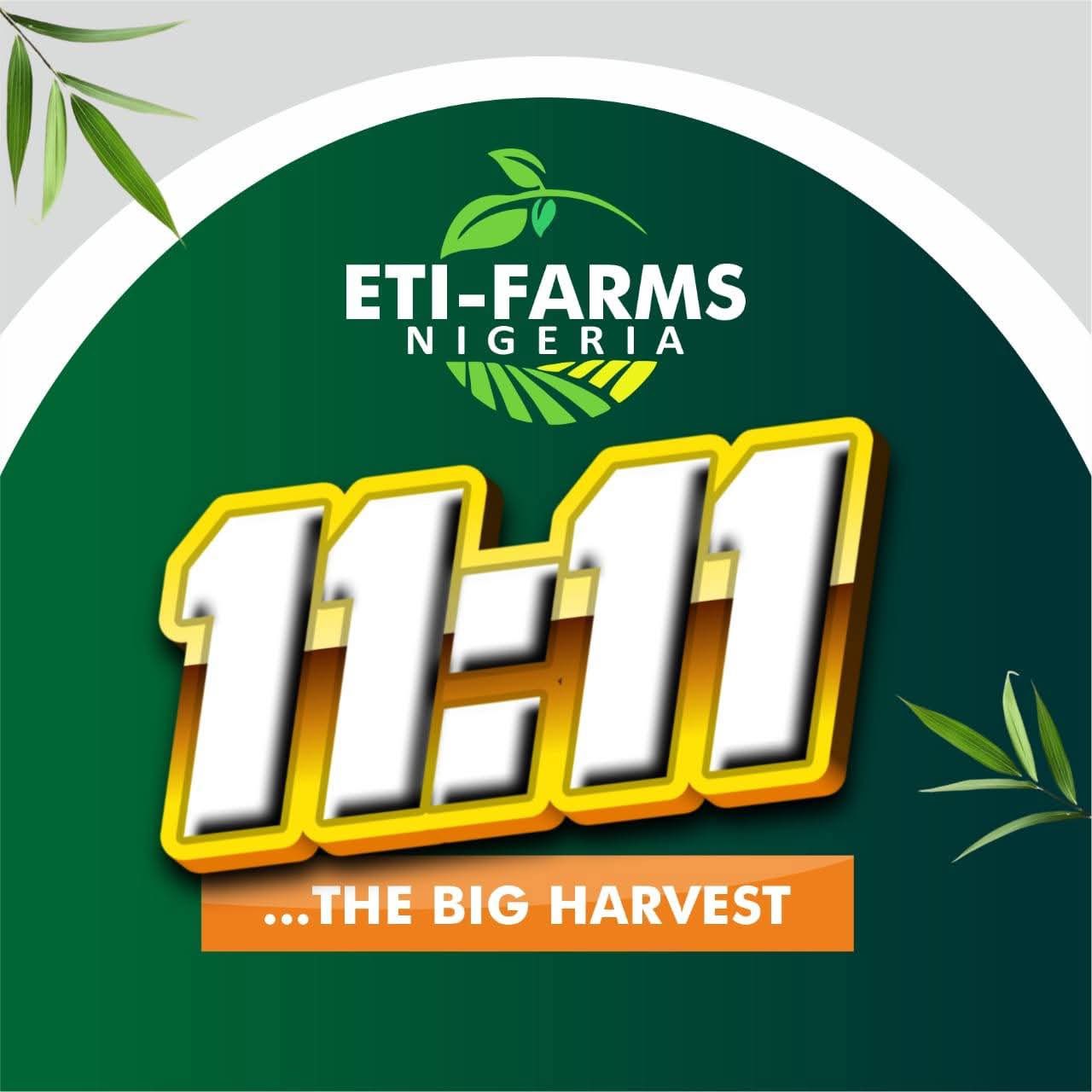 AKWA IBOM PRIVATE-OWNED MECHANIZED FARM READY FOR HARVEST ON NOVEMBER 11