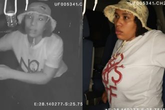 Female suspect to appear in court over Pretoria West ehailing driver murder