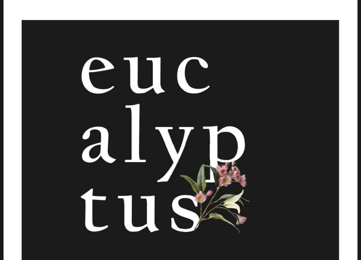 Book-themed literary illustration representing Ogadagidi and Abai-Ola in Amu-Nnadi’s Eucalyptus Symbolic African landscape evoking ancestry, memory and ritual in Eucalyptus Artistic interpretation of ancestral voice and poetic awakening in African poetry