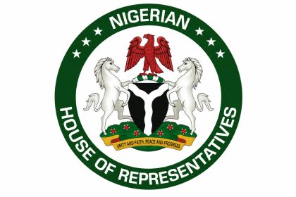 House of Representatives chamber during plenary on Electoral Act amendment