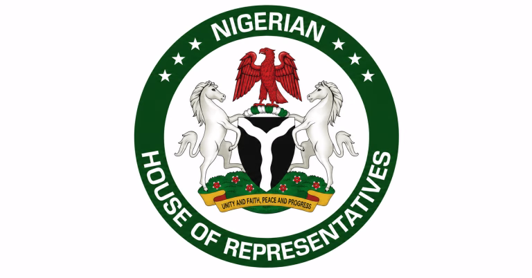 House of Representatives chamber during plenary on Electoral Act amendment