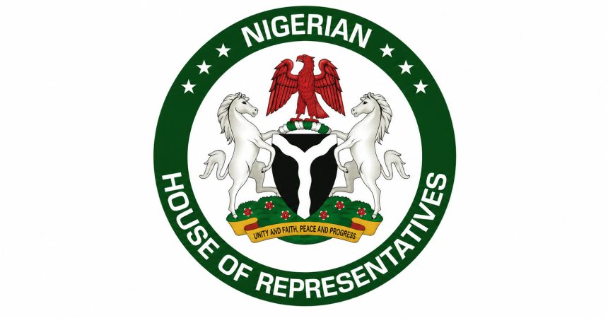 House of Representatives chamber during plenary on Electoral Act amendment